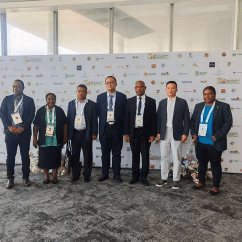Ausmate Group — PNG engagement