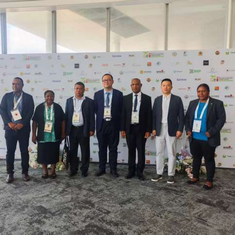 Ausmate Group — PNG engagement